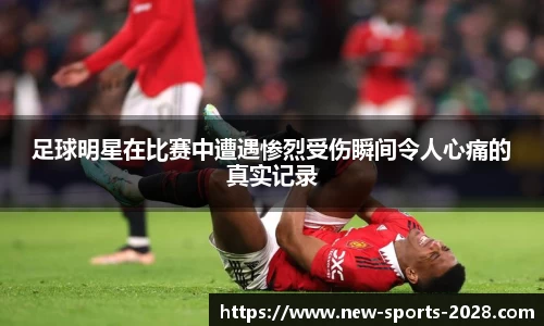 2028体育官网